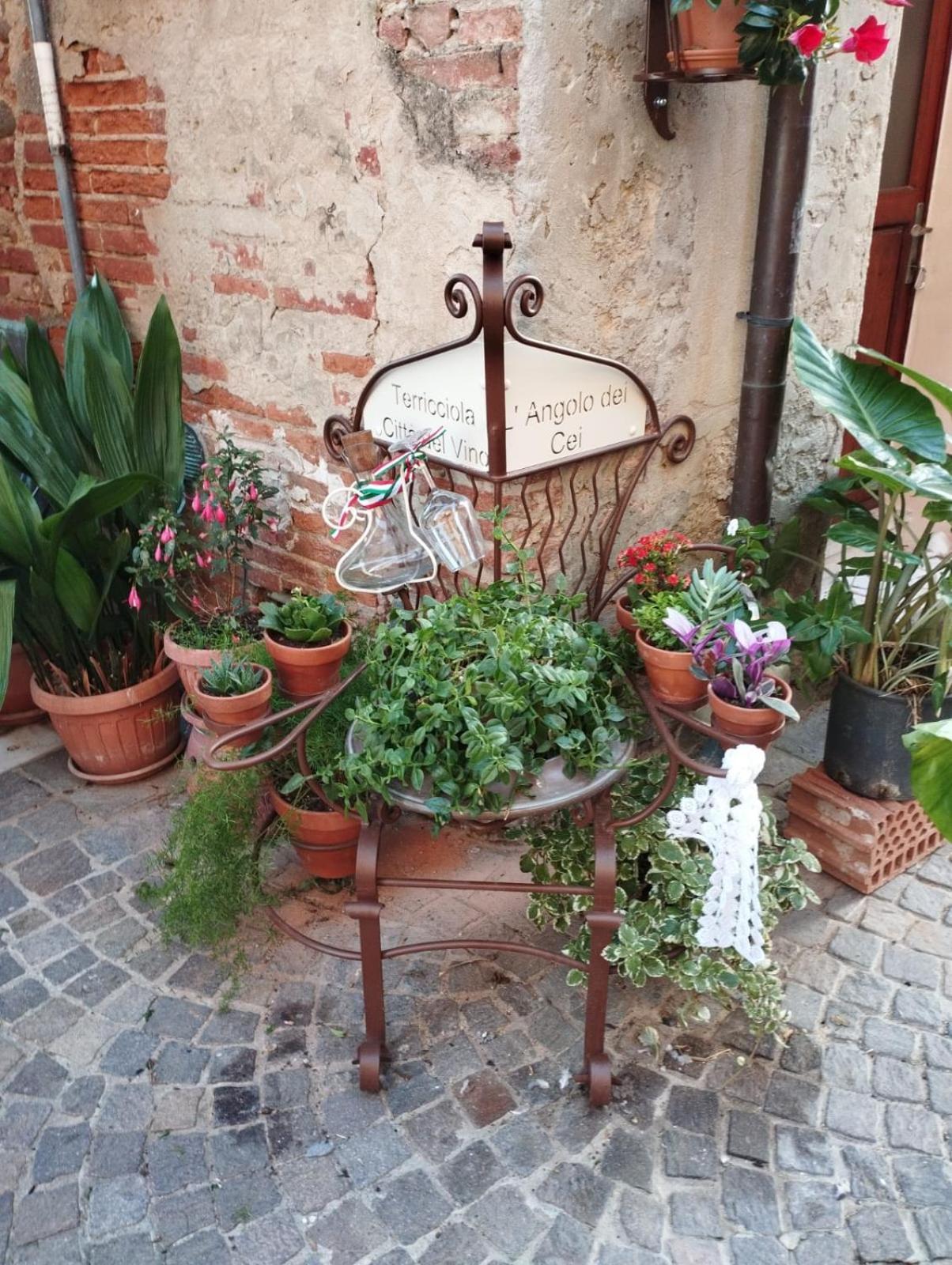 Angolo Della Cei Terricciola Luaran gambar
